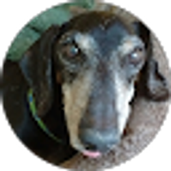 Profile photo of R Miller