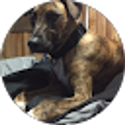 Profile photo of Adam Peleska