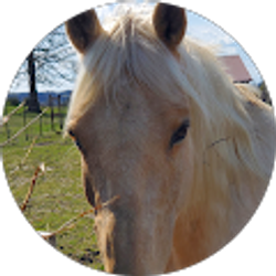 Profile photo of Glselle Grimes