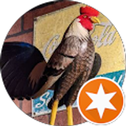 Profile photo of Eric Rodriguez