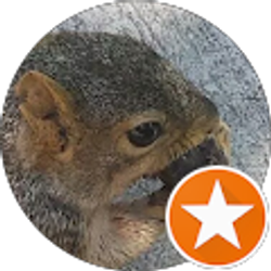 Profile photo of Shannon Ruff