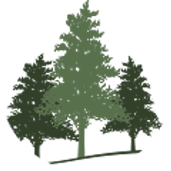 Profile photo of Michele Karli