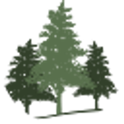 Profile photo of Michele Karli