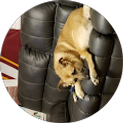 Profile photo of Stacey Berry