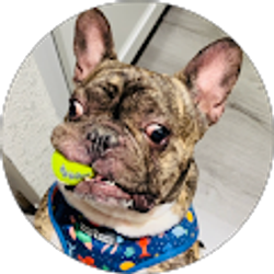 Profile photo of Saddia Winston