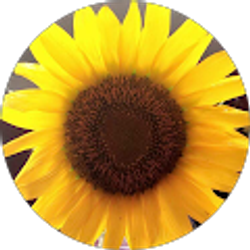 Profile photo of Hannah Long