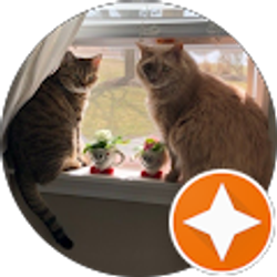 Profile photo of Meredith Conforti