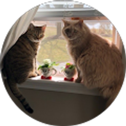 Profile photo of Meredith Conforti-Aviles