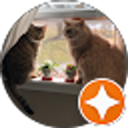 Profile photo of Meredith Conforti