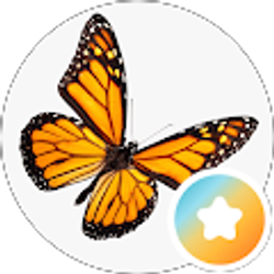 Profile photo of Autumn Jean