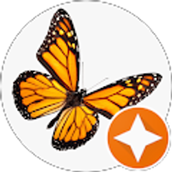 Profile photo of Autumn Jean