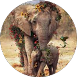 Profile photo of Gabriela Castro Galliani