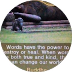 Profile photo of Karuna