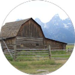 Profile photo of Heather Strong