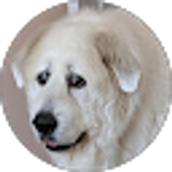 Profile photo of Eric Larson