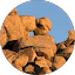 Profile photo of Miguel Mendez