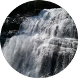 Profile photo of Jamey Spratt