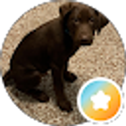 Profile photo of Adam S