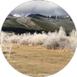 Profile photo of Carol Vimont