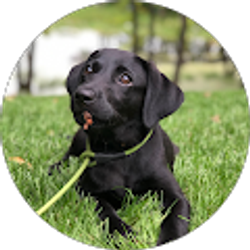 Profile photo of Doug Reitan