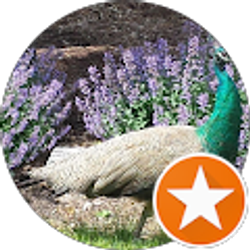 Profile photo of JMarz