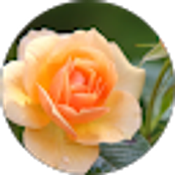 Profile photo of alysa duran