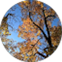Profile photo of R Wheeler