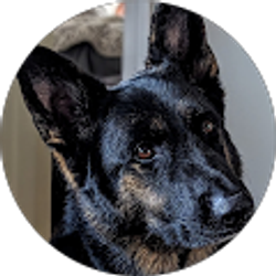 Profile photo of Jeff Murphy