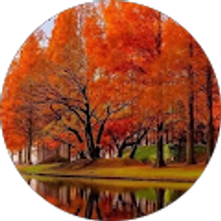 Profile photo of Rhonda Whitworth