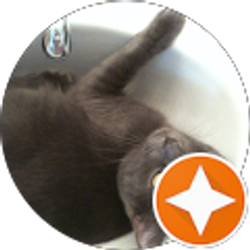 Profile photo of Sarah Gottschalk