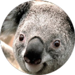 Profile photo of Dawson Fair