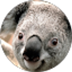 Profile photo of Dawson Fair
