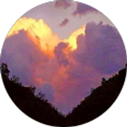 Profile photo of Renae Davidson