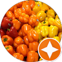 Profile photo of Elena XX