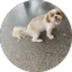 Profile photo of Natalie Jasen