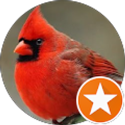 Profile photo of Harriett Campbell