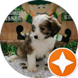 Profile photo of Lisa Marie