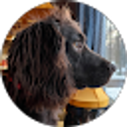 Profile photo of Tom Klasell