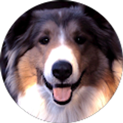 Profile photo of Chris K