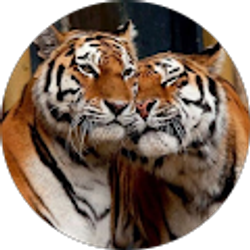 Profile photo of emmano