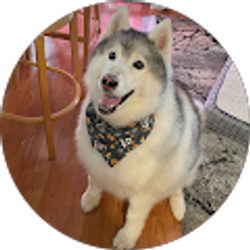 Profile photo of Patricia McEwen