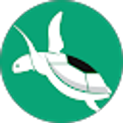 Profile photo of UglyTurtle