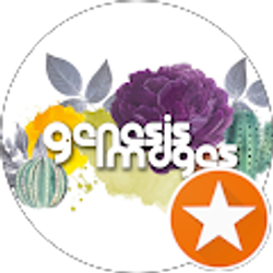 Profile photo of Kim Covert (Genesis Images Arizona)