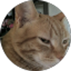 Profile photo of Dan H.
