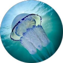 Profile photo of Anitra Hayes