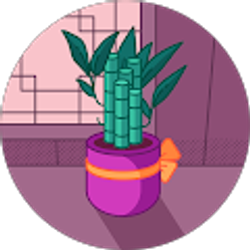 Profile photo of Aisha Ahmed