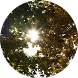 Profile photo of Jodi Diderrich