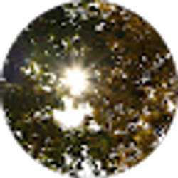 Profile photo of Jodi Diderrich