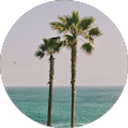 Profile photo of Nicole Schuler