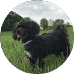 Profile photo of Lilly